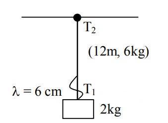 JEE Main 2020 (Online) 3rd September Morning Slot Physics - Waves Question 60 English Explanation